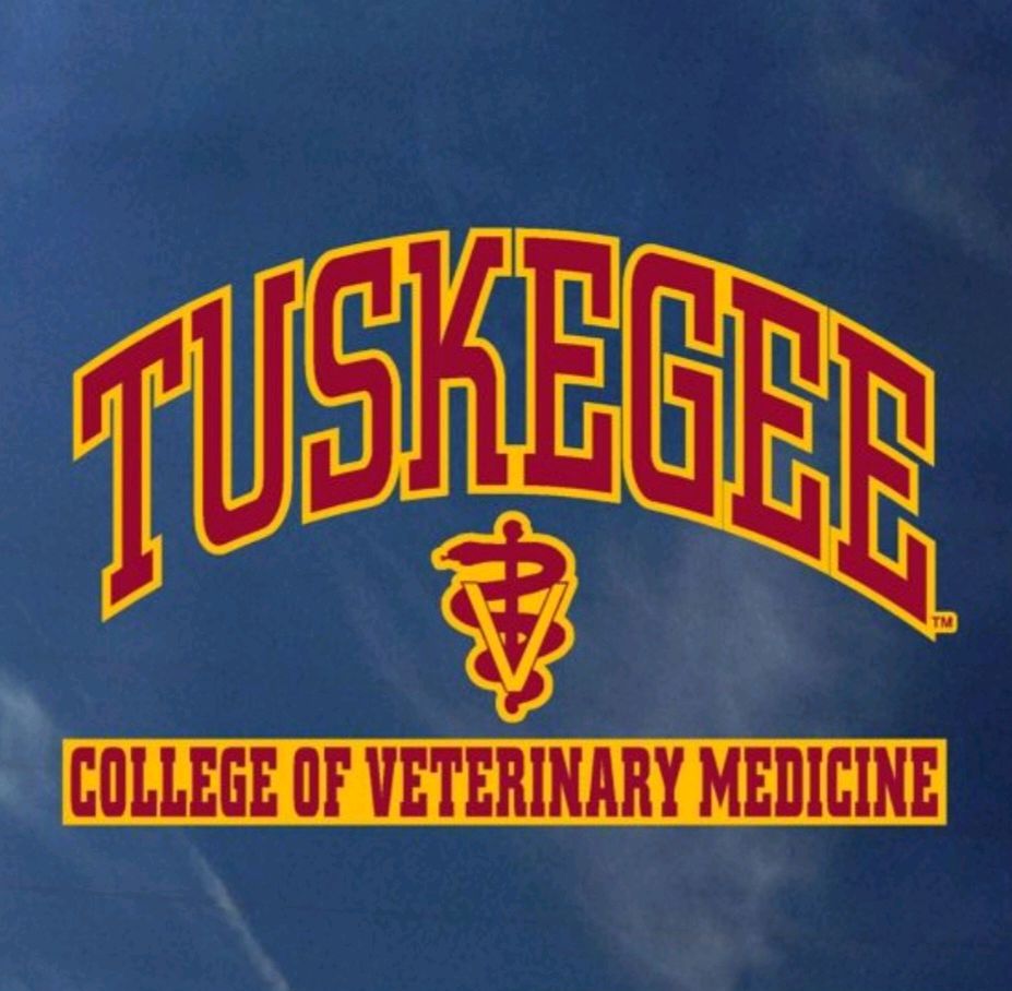 Group avatar for TUCVM C/O 2027