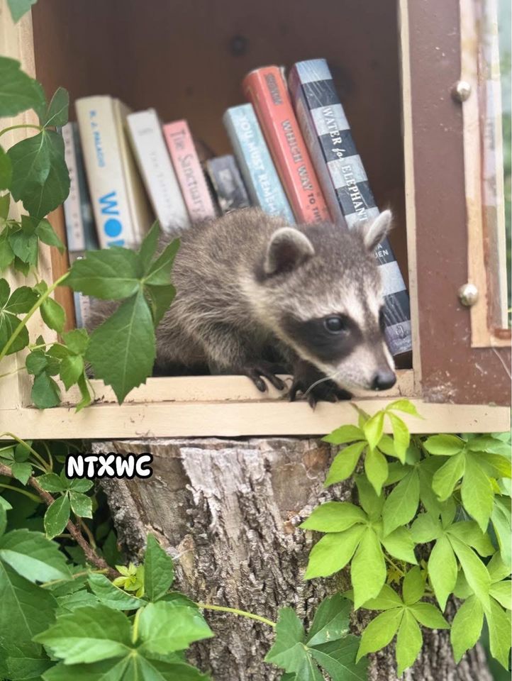 Group avatar for NTXWC 2025 Book Club