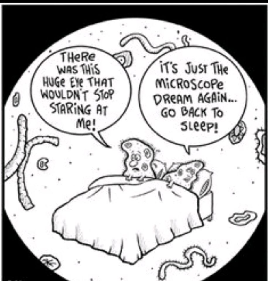 Group avatar for BIO 204 - Summer 2021