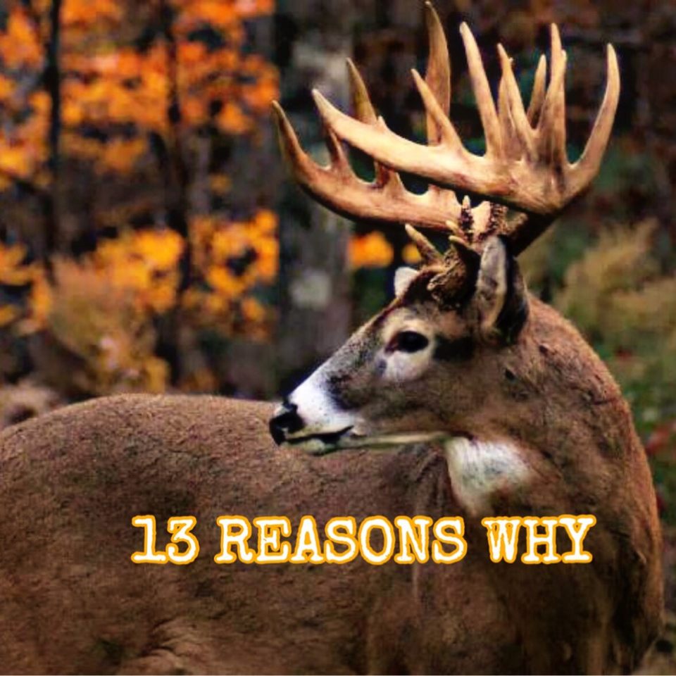 Group avatar for 13 Reasons Why
