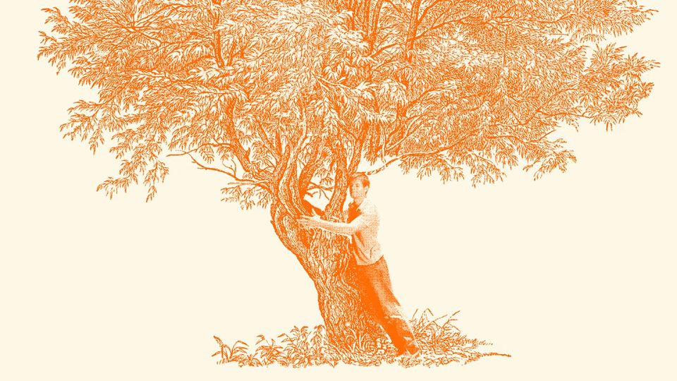 Group avatar for UVA PSP Global Sustainability Pathway