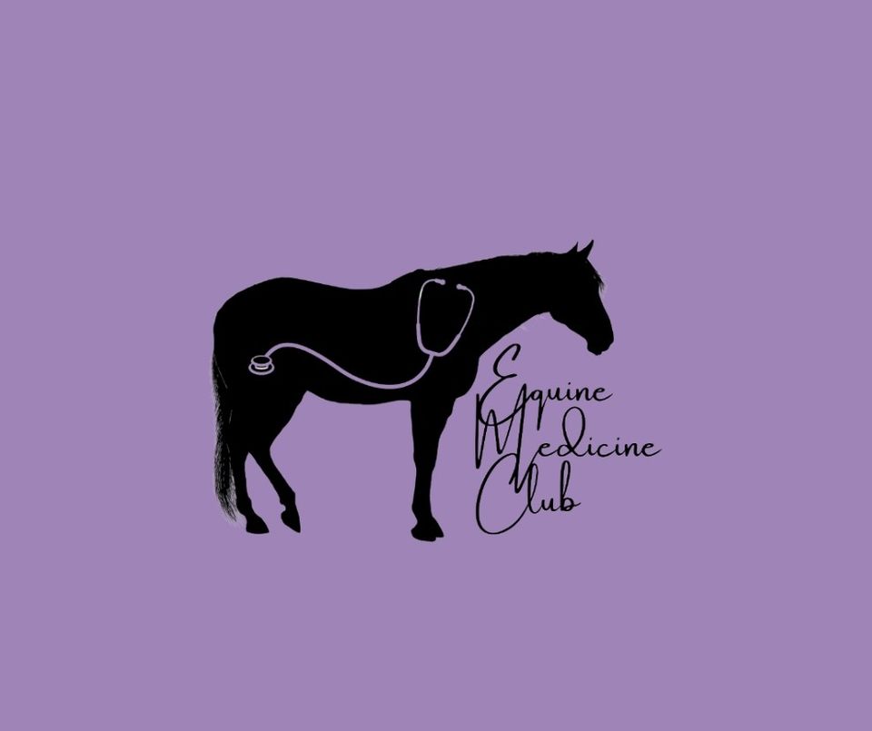 Group avatar for Equine Medicine Club