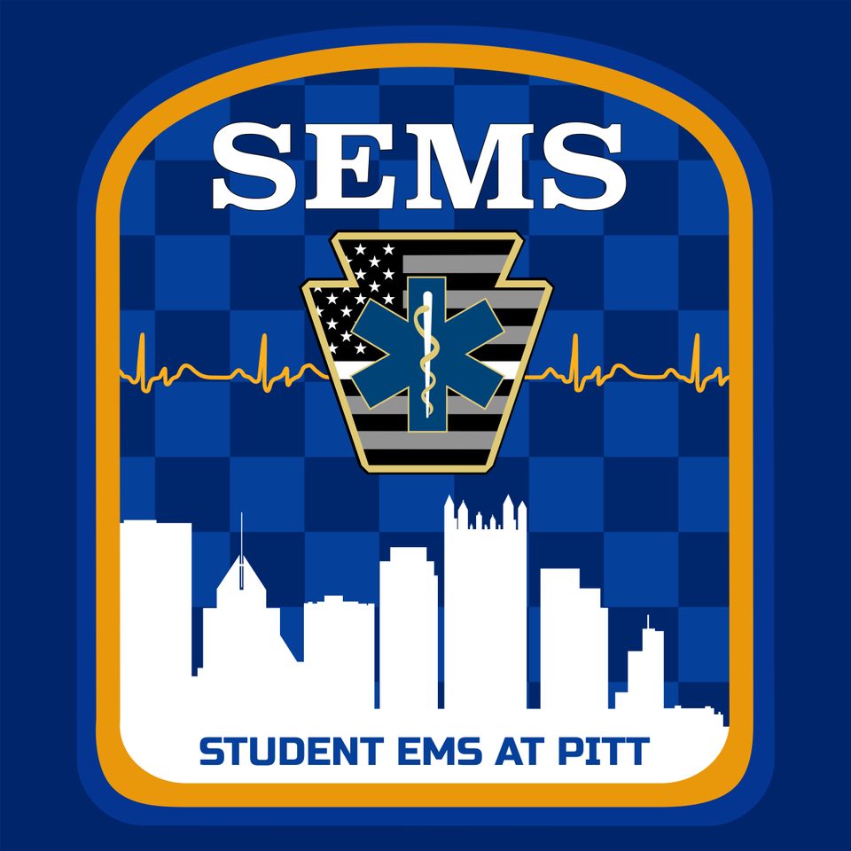 Group avatar for Pitt SEMS
