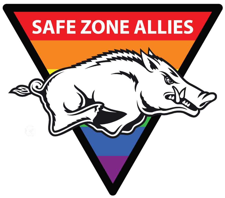 Group avatar for Safezone Allies Student Network